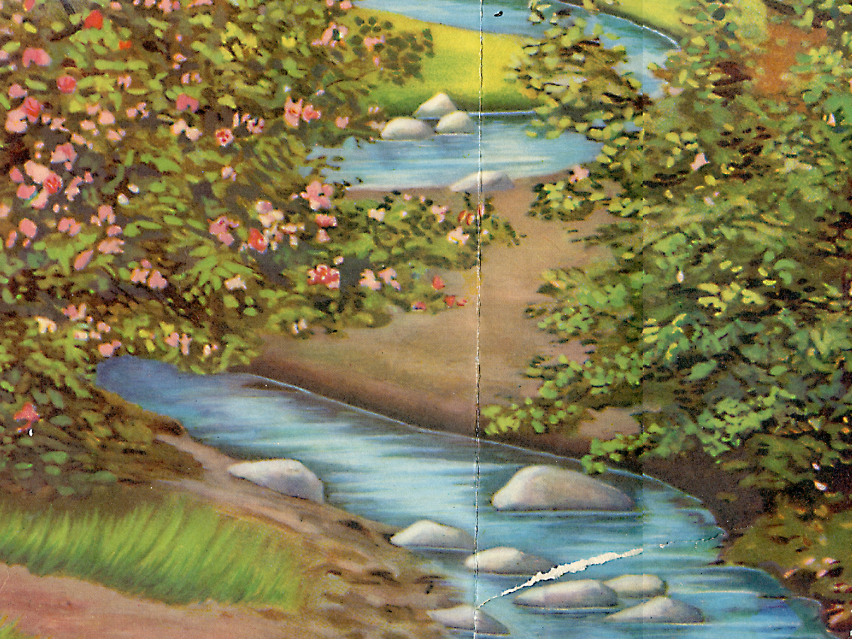 REALIDAD DE LA VIDA / Lucas Ospina